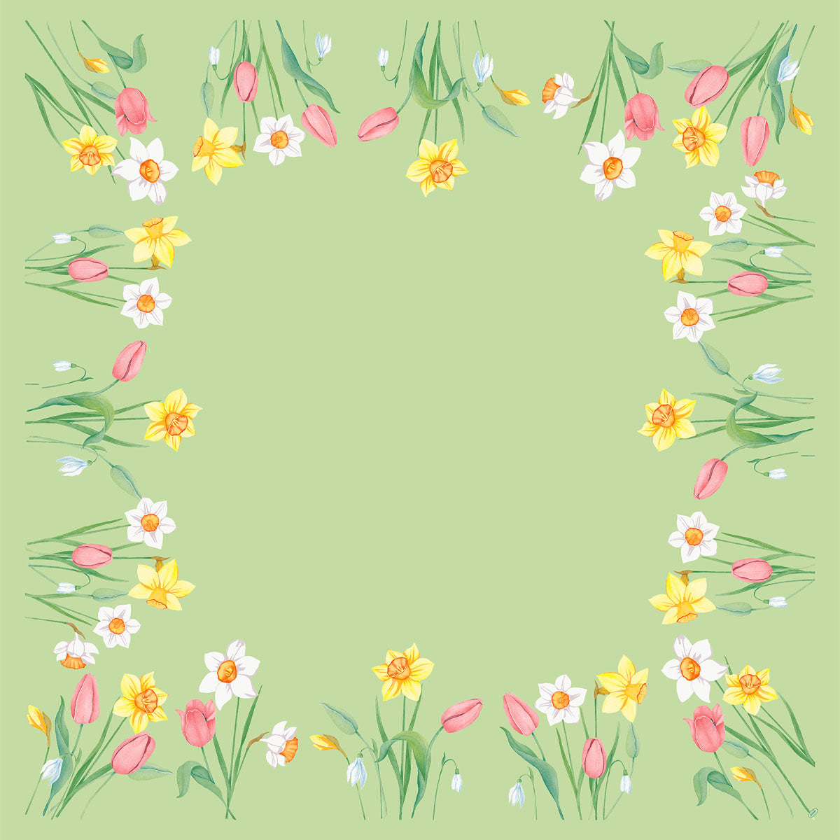 Die Bio-Dunicel-Mitteld.84x84 Frühlingsmelodie-Servietten der Duni GmbH zeigen ein grünes Quadrat, das mit gelben Narzissen, weißen Narzissen und rosa Tulpen umrandet ist - ein frischer Akzent für den Frühlingstisch. Die Mitte ist einfarbig. Packung mit 20 Stück.