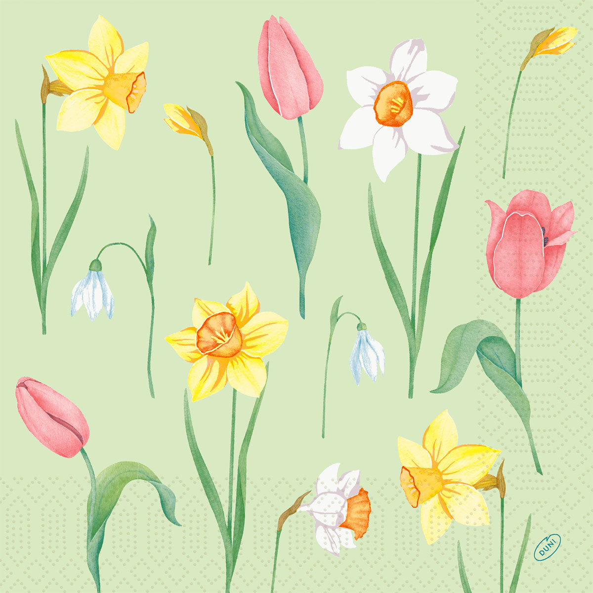 Servietten 40x40 cm 3-lagig Spring Melody von Duni GmbH: Illustration mit gelben Narzissen, pinken Tulpen, weißen Schneeglöckchen und einer weißen Narzisse auf hellgrünem Grund - Packung mit 250 Papierservietten.