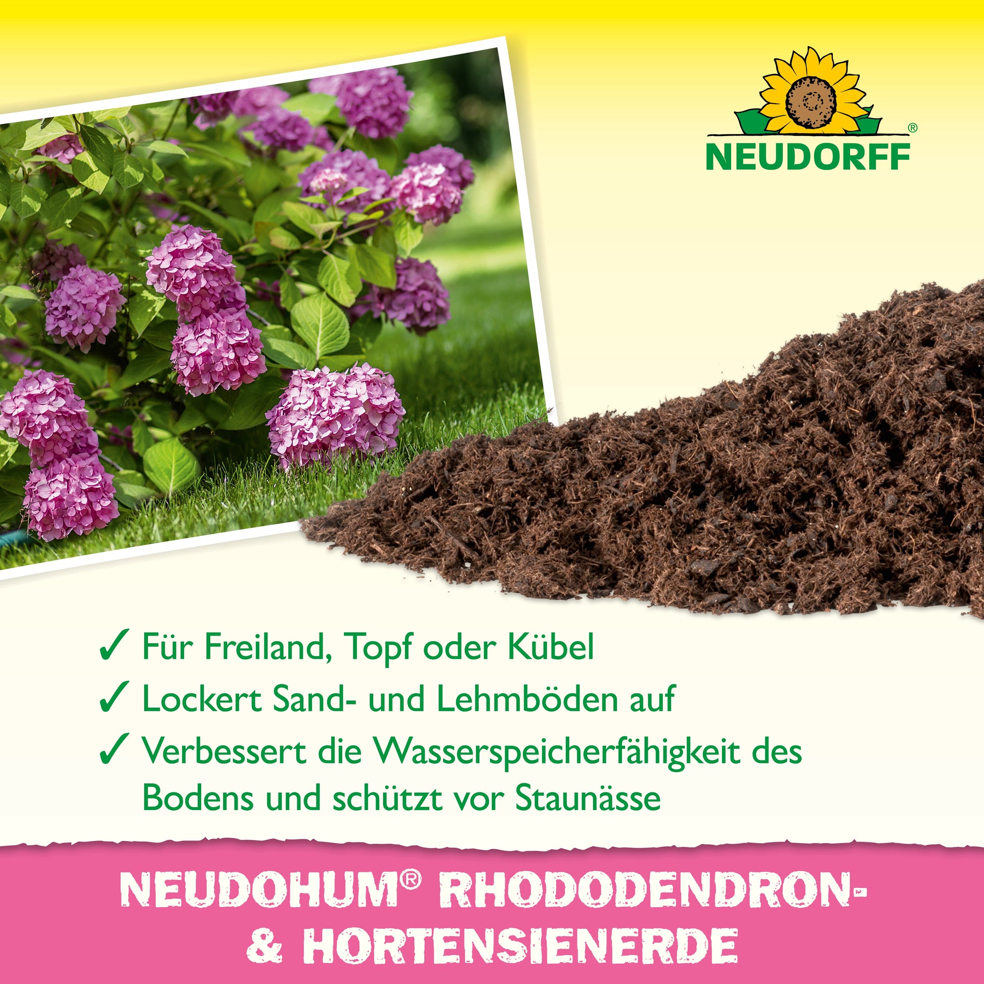 Ein Stapel NeudoHum Rhododendron & Hortensien Erde aus dem Neudorff Shop liegt neben blühenden violetten Hortensien. Der Text hebt die Vorteile für Freiland- und Topfpflanzen hervor: bessere Wasserspeicherung und Vermeidung von Staunässe.