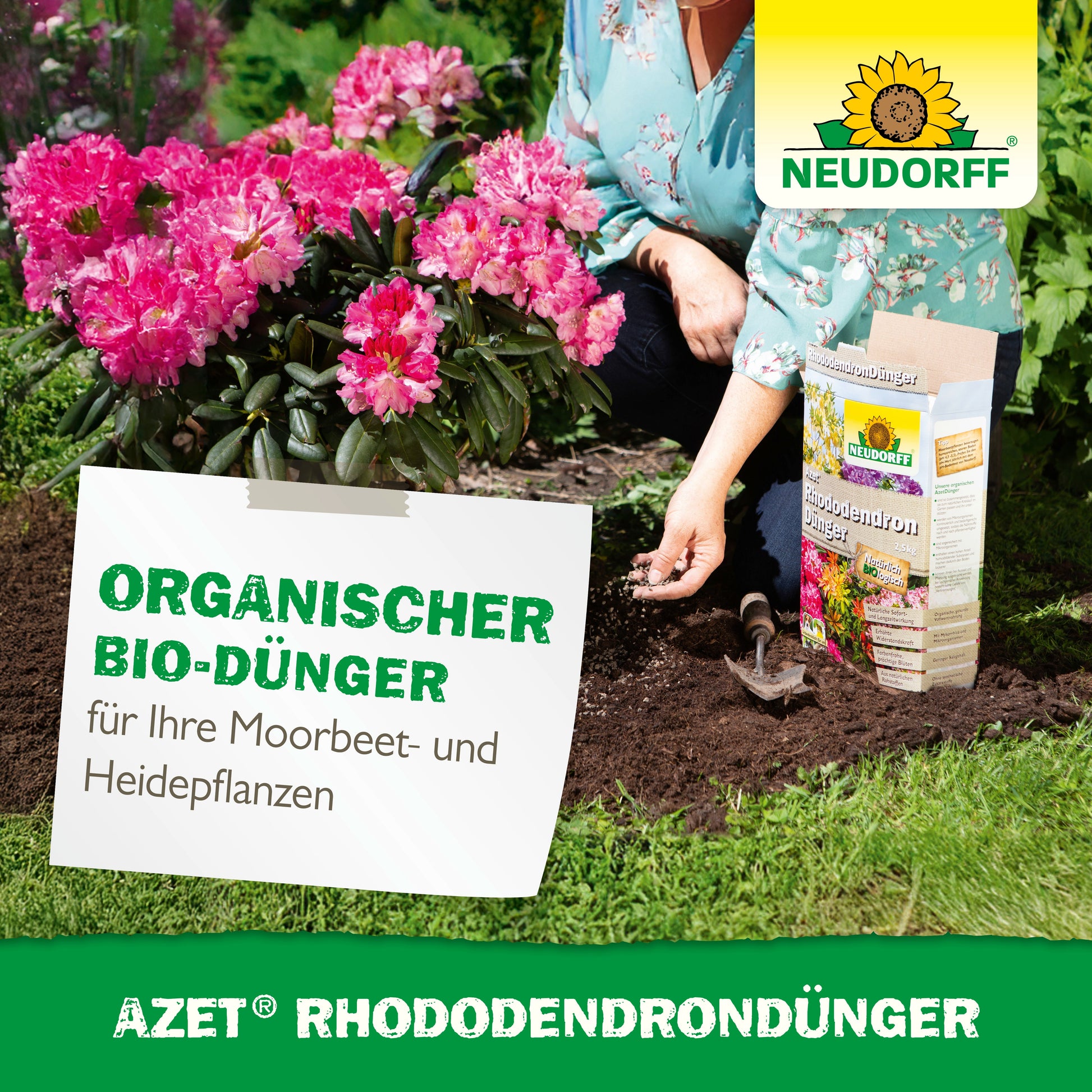 Jemand pflanzt rosa Rhododendron und Azaleen und hält die Erde neben dem Azet RhododendronDünger von Neudorff Shop. Ein Schild zeigt Produkt- und Pflanzendaten im Gartenbeet an.
