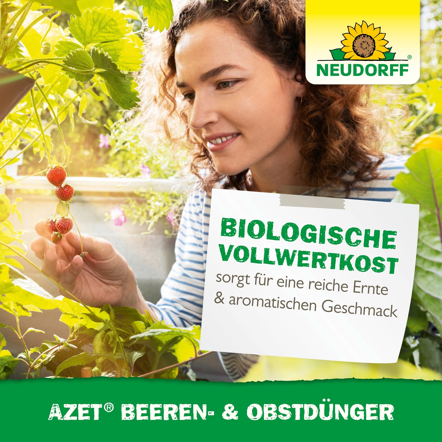 Eine Frau prüft in einem Gewächshaus reife Erdbeeren. Das Bild zeigt das Logo des Neudorff Shops und den deutschen Text, der für Azet Beeren- & ObstDünger für Obststräucher und Beeren wirbt und für eine reiche Ernte und aromatischen Geschmack sorgt.