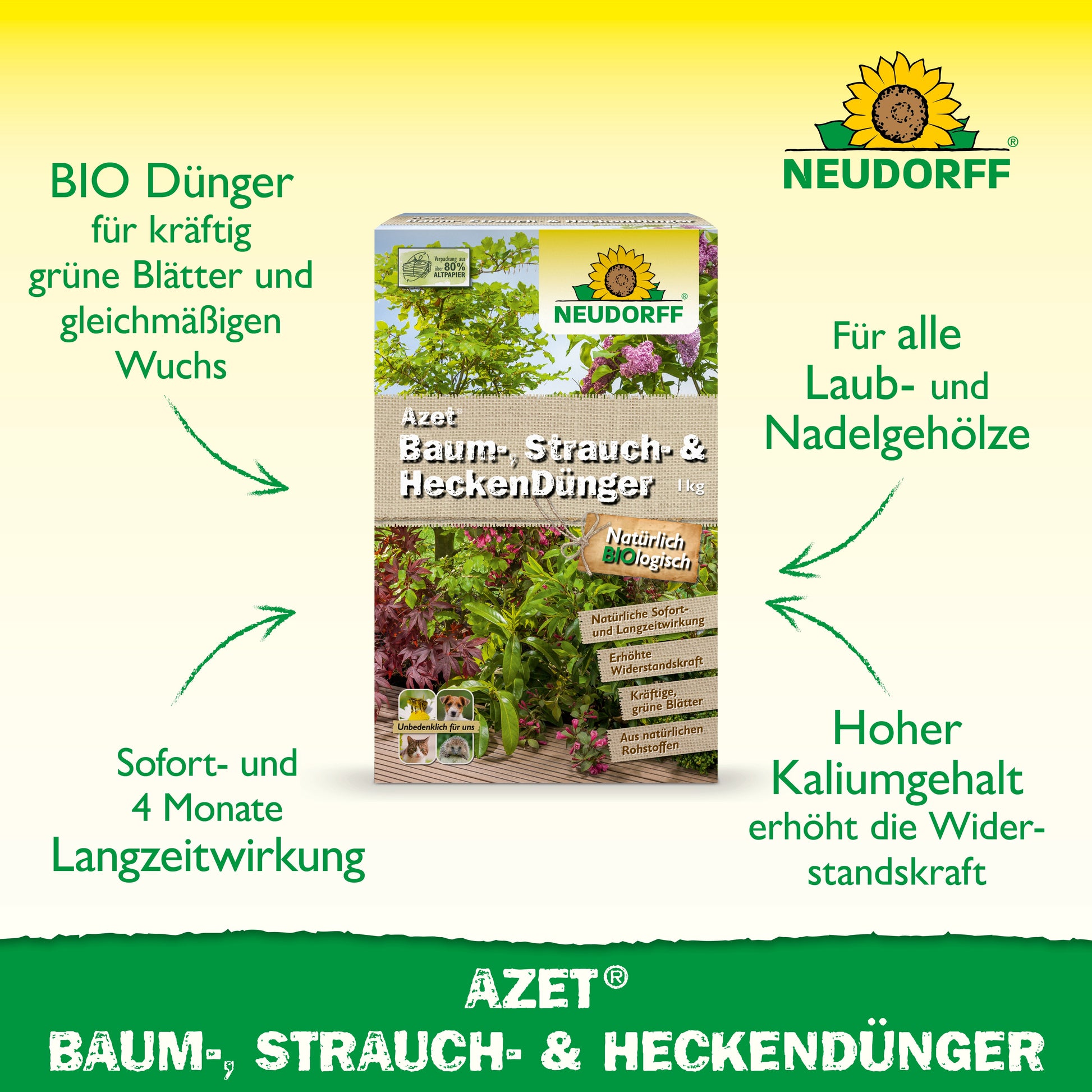 Abgebildet ist eine rechteckige Dose Neudorff Shop Azet Baum-, Strauch- & HeckenDünger mit grünen Pfeilen, die die lang anhaltende Wirkung und den hohen Kaliumgehalt betonen - ein idealer Dünger für Sträucher und Hecken in jedem Garten.