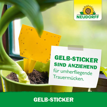 Ένας Gelb-Sticker από το Neudorff Shop, καλυμμένος με μικρά ιπτάμενα έντομα, τοποθετείται σε ένα φυτό εσωτερικού χώρου κοντά σε ένα παράθυρο. Σε μια ετικέτα δίπλα στη γλάστρα αναγράφεται: "Οι Gelb-Sticker είναι ελκυστικοί για τις ιπτάμενες σκνίπες.