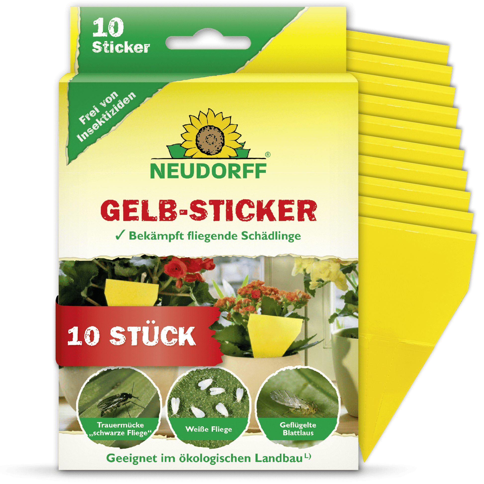 Μια συσκευασία Neudorff Shop Gelb-Sticker περιέχει 10 κίτρινες κολλητικές παγίδες για φυτά εσωτερικού χώρου, που αναφέρονται ως αποτελεσματικές κατά των σκνιπών σε φυτά σε γλάστρες, με γερμανικές οδηγίες χρήσης.