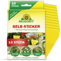 Μια συσκευασία Neudorff Shop Gelb-Sticker περιέχει 10 κίτρινες κολλητικές παγίδες για φυτά εσωτερικού χώρου, που αναφέρονται ως αποτελεσματικές κατά των σκνιπών σε φυτά σε γλάστρες, με γερμανικές οδηγίες χρήσης.