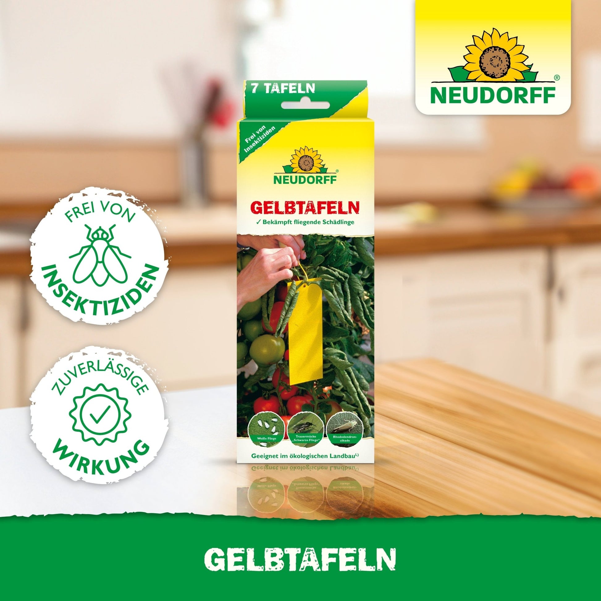 Σε ένα τραπέζι κουζίνας υπάρχει ένα κουτί Neudorff Shop Gelbtafeln (kleinformatig) με κίτρινες κολλώδεις παγίδες για φυτά και την ένδειξη "χωρίς εντομοκτόνα" με αξιόπιστη δράση κατά παρασίτων όπως οι λευκές μύγες.