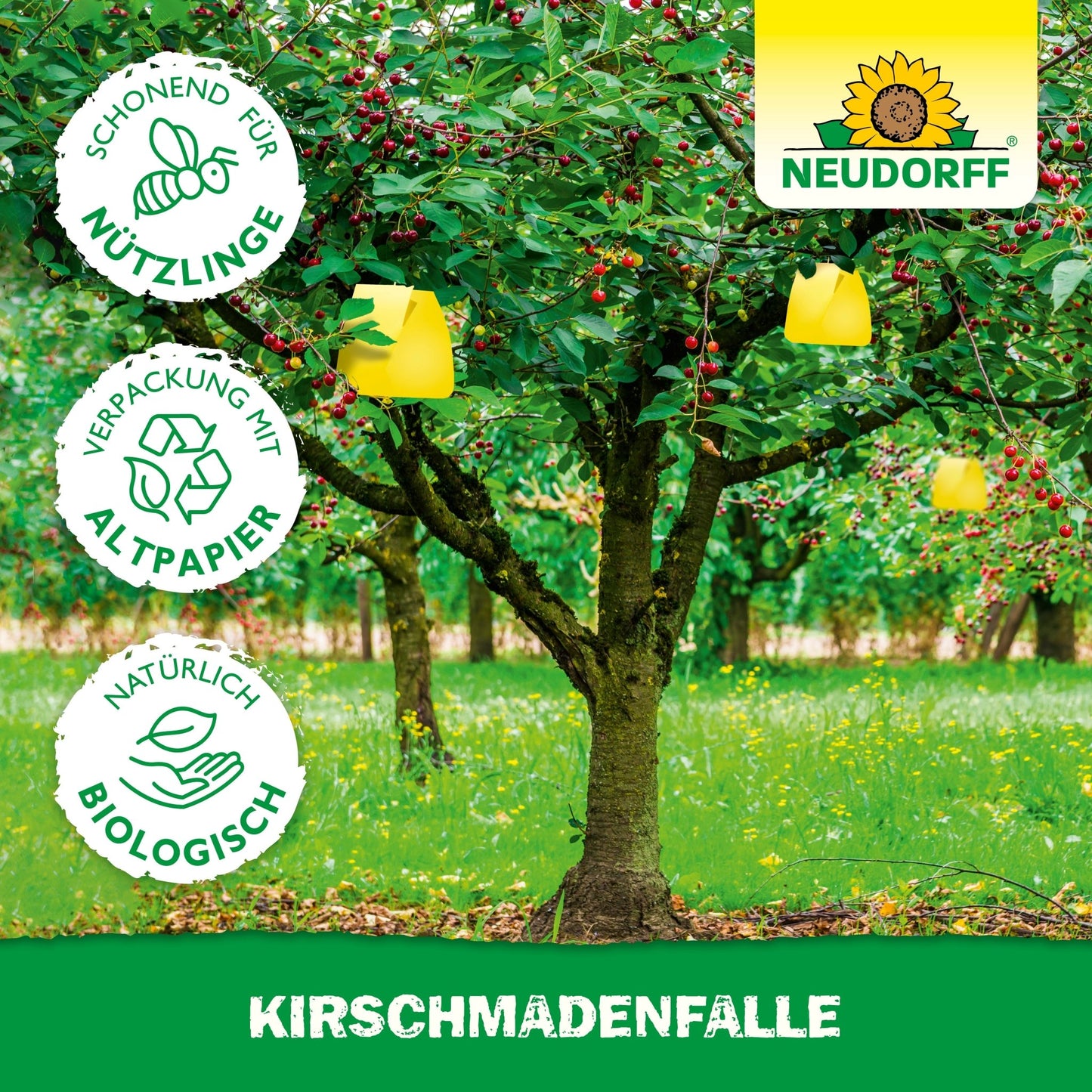 Μια κερασιά με κίτρινη παγίδα KirschmadenFalle από το Neudorff Shop προστατεύει τη συγκομιδή των κερασιών σας από τις μύγες. Τρία εικονίδια δείχνουν: φιλικό προς τα ωφέλιμα έντομα, συσκευασία από ανακυκλωμένο χαρτί και φυσικά βιολογικό. Πάνω δεξιά το λογότυπο Neudorff.