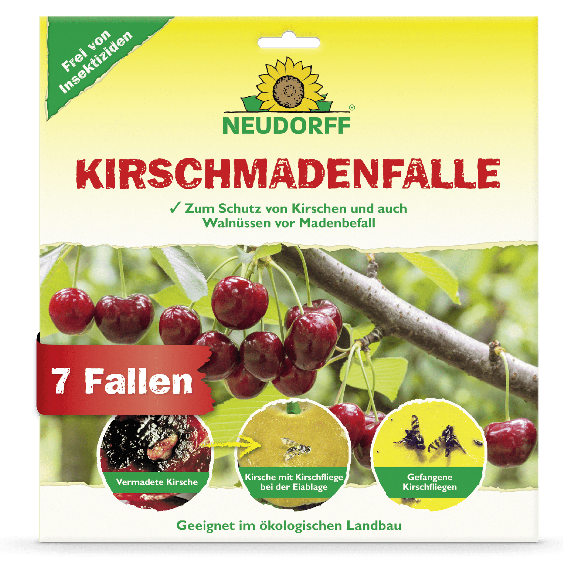 Η μπροστινή πλευρά μιας παγίδας Neudorff Shop KirschmadenFalle δείχνει ώριμα κεράσια, κοντινές λήψεις από ζημιές από τη μύγα των κερασιών, παγιδευμένες προνύμφες και μύγες. Το κείμενο επισημαίνει την καταλληλότητα για τη βιολογική συγκομιδή κερασιών και ότι η συσκευασία περιέχει 7 παγίδες.