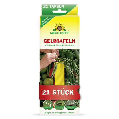 Ένα ορθογώνιο κουτί από το Neudorff Shop Gelbtafeln (kleinformatig) δείχνει ένα χέρι που τοποθετεί μια κίτρινη κολλώδη παγίδα ανάμεσα σε τομάτες. Η συσκευασία των 21 τεμαχίων ελέγχει λευκές μύγες και θρίπες και είναι κατάλληλη για βιολογική γεωργία.