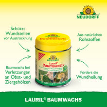 Abgebildet ist ein gelb-grüner "Lauril Baumwachs"-Behälter von Neudorff Shop. Dieses Pflanzenwachs schützt und heilt Obstbäume. Der deutsche Text hebt die natürlichen Inhaltsstoffe hervor.