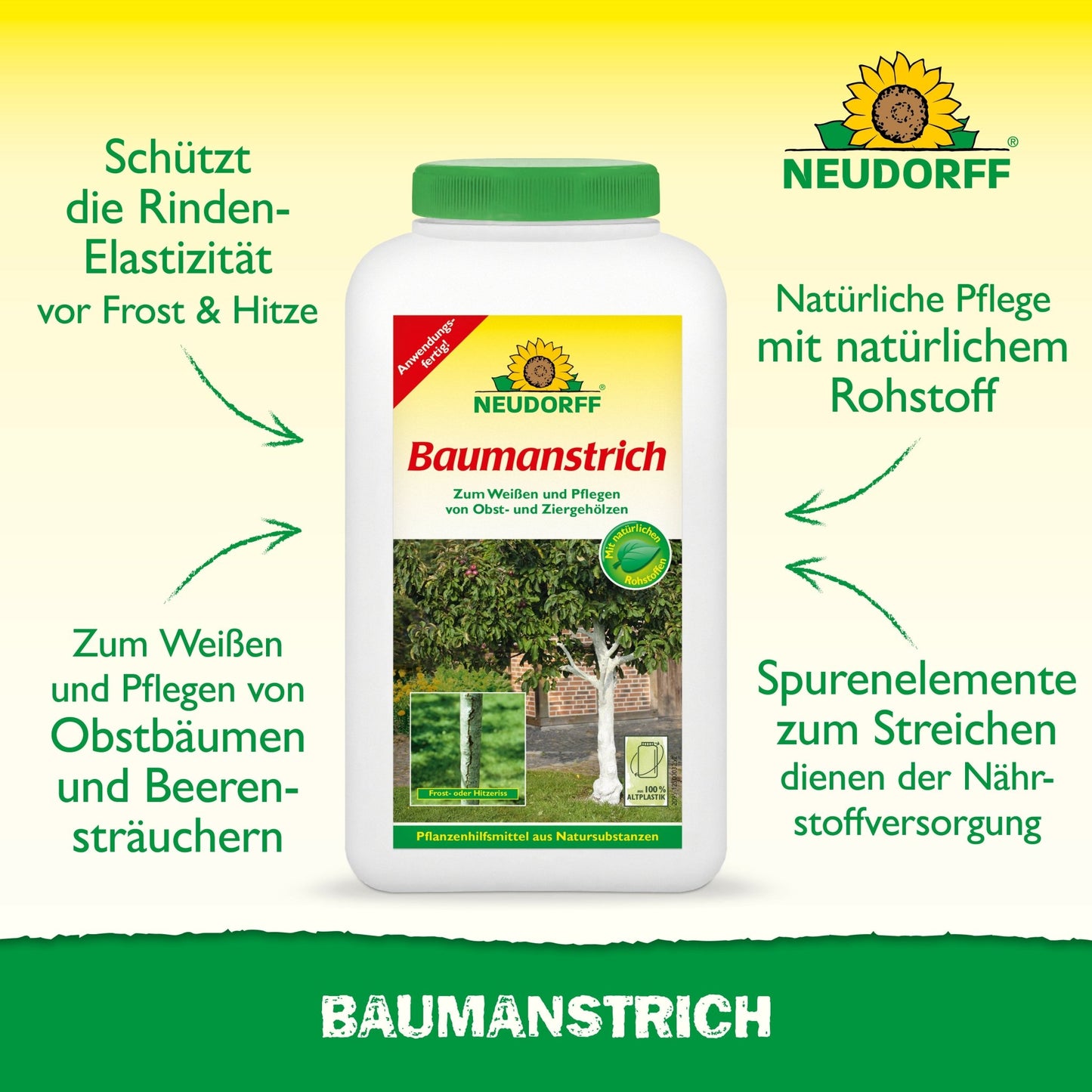 Βιολογική βαφή δέντρων