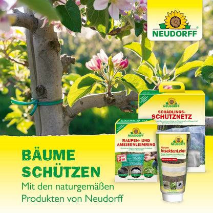 Βιολογική βαφή δέντρων