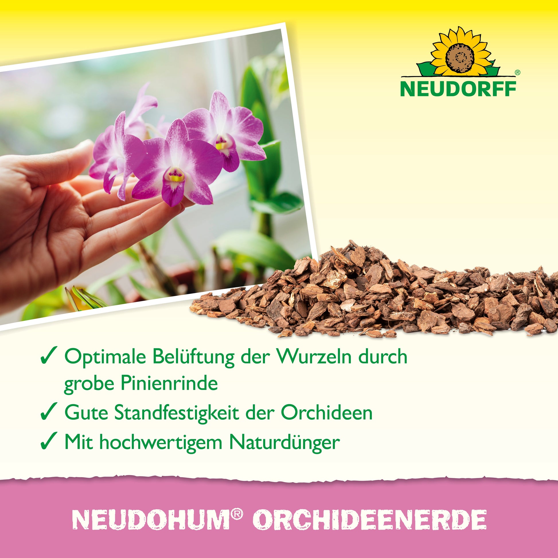 Eine Hand hält eine blühende Orchidee in der Nähe eines Fensters, davor liegt grobe Pinienrinde. Der Text zeigt die NeudoHum OrchideenErde aus dem Neudorff Shop - perfekt für die Orchideenpflege, Wurzelbelüftung und als natürlicher Dünger beim Umtopfen.