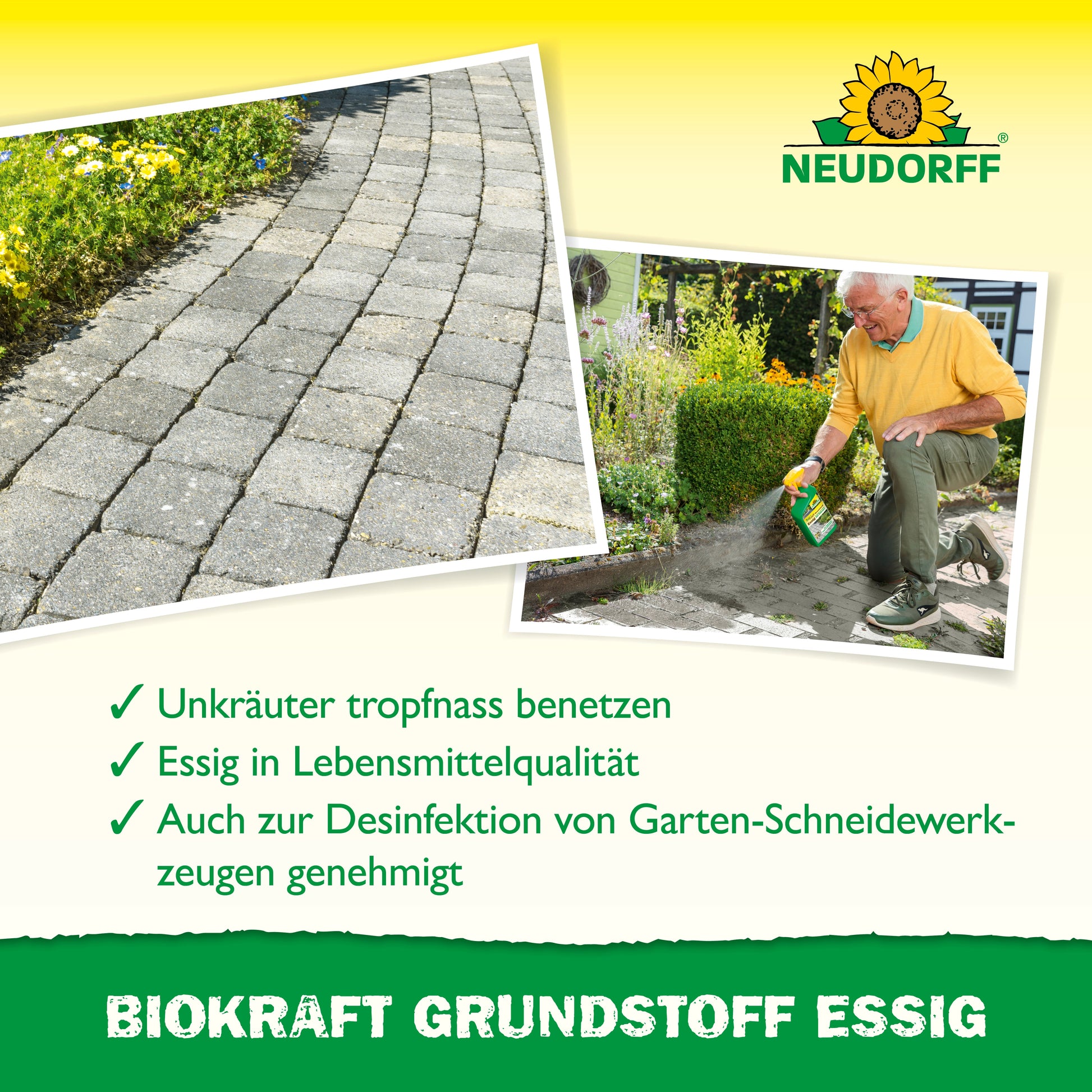 Ein Mann verwendet Neudorff BioKraft Grundstoff Essig aus dem Neudorff Shop zur Unkrautbekämpfung zwischen den Terrassensteinen und zeigt damit die effektive und natürliche Unkrautbekämpfung mit Lebensmittelessig für eine unkrautfreie Terrasse.
