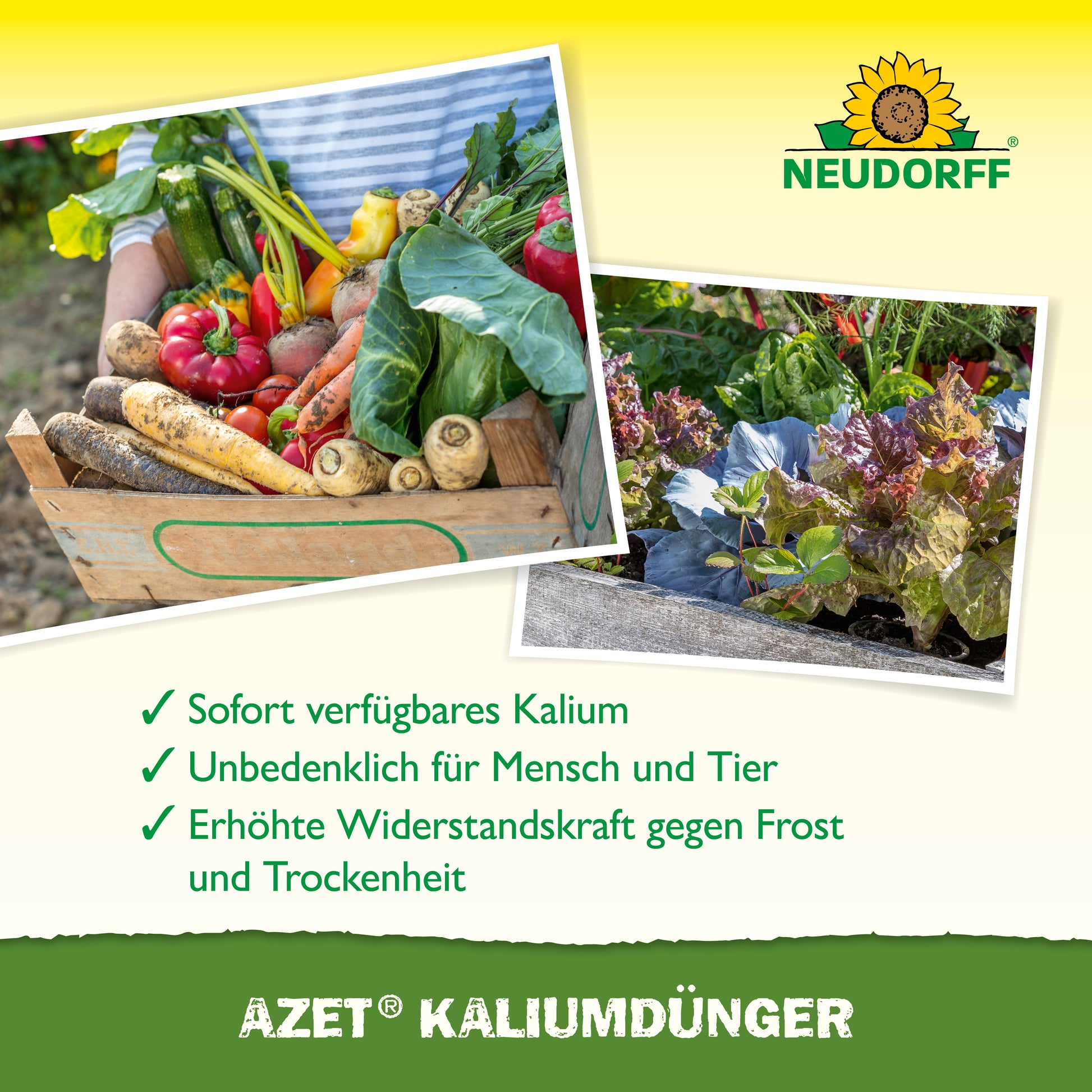 Eine Holzkiste mit Gemüse steht neben Blattgemüse. Der Text hebt Azet KaliumDünger von Neudorff Shop hervor, der sofortige Nährstoffverfügbarkeit für die Pflanzendüngung bietet und für Mensch und Tier sicher ist.