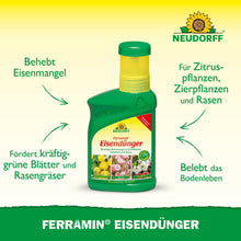 Ένα πράσινο μπουκάλι Neudorff Shop Ferramin Eisendünger στέκεται όρθιο, με ένα κείμενο που αναδεικνύει τα πλεονεκτήματα: Διόρθωση έλλειψης σιδήρου και αζώτου, προώθηση πλούσιου πράσινου γκαζόν και φύλλων και αναζωογόνηση του εδάφους για διάφορα φυτά.