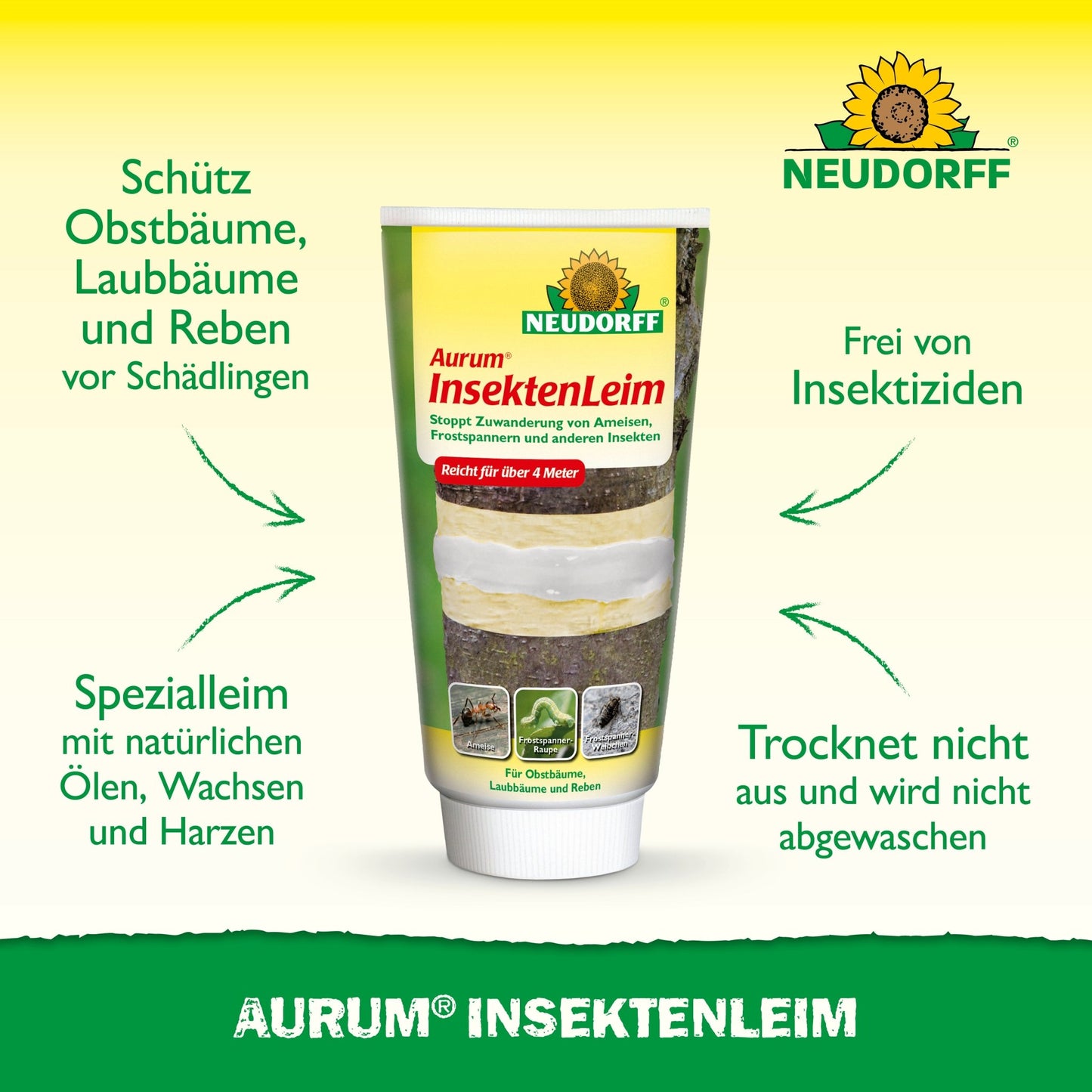 Ένας σωλήνας κόλλας εντόμων Aurum από το Neudorff Shop στέκεται όρθιος και φέρει γερμανικό κείμενο για την προστασία των οπωροφόρων δέντρων από μυρμήγκια και θηλυκές πεταλούδες του χειμώνα. Στο πράσινο-κίτρινο υπόβαθρο φαίνεται το λογότυπο Neudorff στην κορυφή.