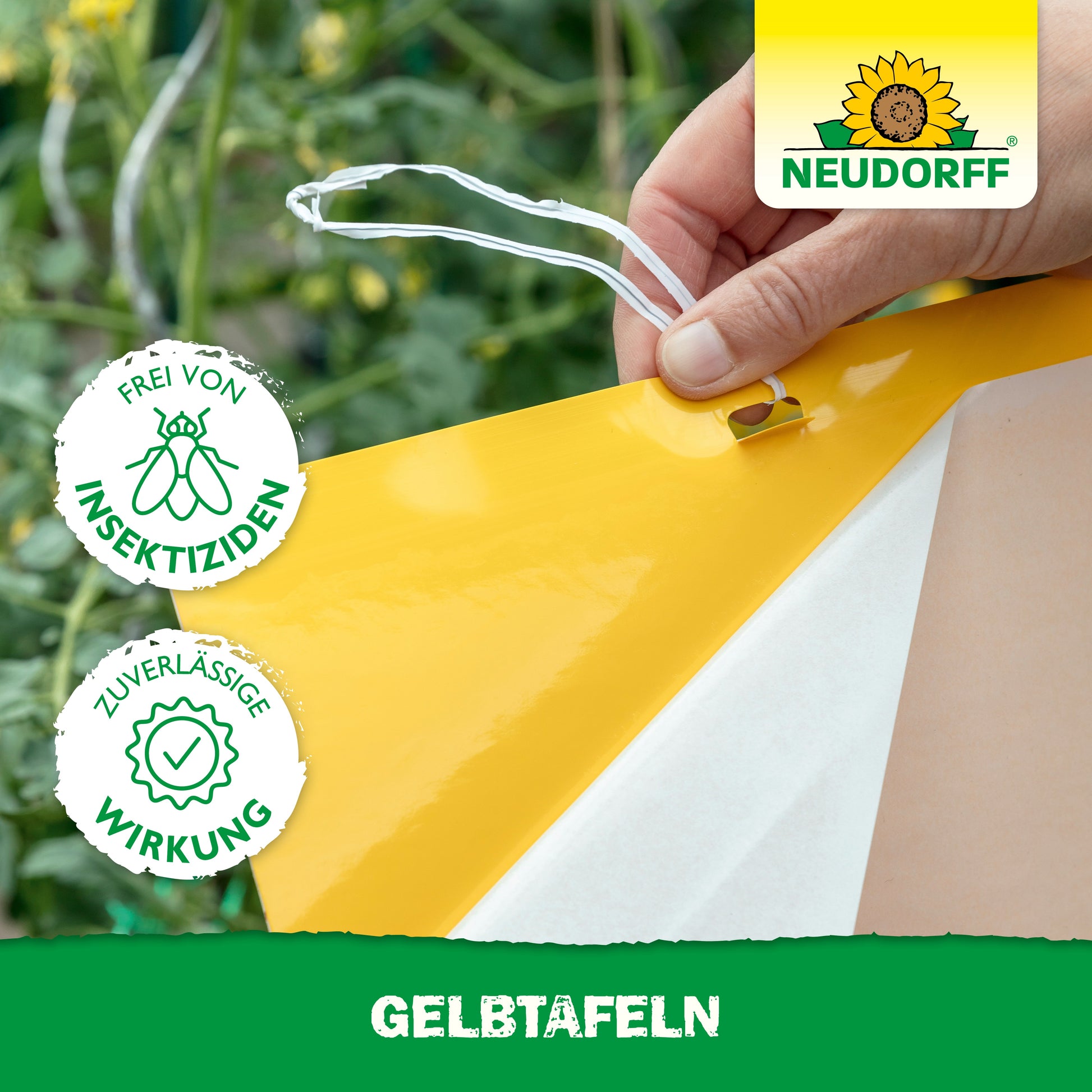 Eine Hand hängt eine Gelbtafel (großformatig) aus dem Neudorff Shop in einem Garten auf, um sich vor Pflanzenschädlingen zu schützen. Das Bild zeigt das Neudorff-Logo, Siegel für die insektizidfreie und wirksame Anwendung und "GELBTAFELN" am unteren Rand.