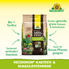 Ein beiger 3-Liter Neudorff Shop NeudoHum Kakteen & SukkulentenErde Beutel steht aufrecht. Die torffrei Erde verhindert Staunässe und ist ideal für ein gesundes Wachstum von Kakteen, Sukkulenten und Bonsai-Pflanzen.
