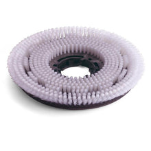 Numatic Octo Nylon Scrub Brush 300mm για TTV678/TVL850 | Συσκευασία (1 τεμάχιο)