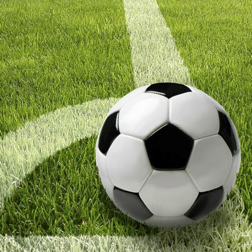 Μια ασπρόμαυρη μπάλα ποδοσφαίρου κάθεται σε πράσινο γρασίδι σε μια λευκή γραμμή - ιδανική για μια αθλητική διακόσμηση τραπεζιού με PAPSTAR 20 χαρτοπετσέτες, 33x33cm, 3-στρώσεων, 4-σετ από PAPSTAR GmbH στην επόμενη εκδήλωσή σας.