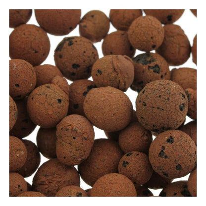 Die Plagron Europebbles von Bertels B.V. sind braune, runde Tonkugeln mit poröser Oberfläche, perfekt für Hydrokultursysteme. Sie haben kleine dunkle Flecken, variieren in der Größe und sind dicht gepackt, was ihnen ein strukturiertes Aussehen verleiht.