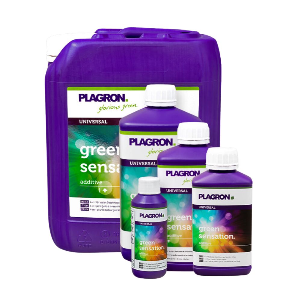 Πέντε μπουκάλια Plagron Green Sensation από την Bertels B.V. σε διάφορα μεγέθη βελτιώνουν την ποιότητα των φυτών. Τα μοβ μπουκάλια με λευκά καπάκια και πράσινο-λευκές ετικέτες βελτιώνουν την ποιότητα της συγκομιδής, με το μεγαλύτερο να βρίσκεται πίσω.