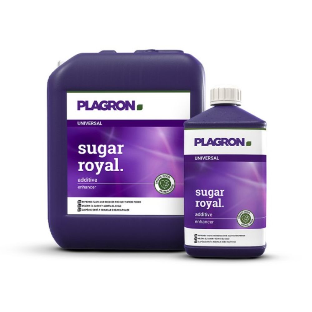 Abgebildet sind zwei Plagron Sugar Royal - Premium Blühverstärker-Behälter von Bertels B.V.: ein größerer quadratischer und ein kleinerer zylindrischer, beide mit leuchtend violetten Etiketten, weißem Text und einem grünen Logo, das für mit essentiellen Aminosäuren angereicherte Qualität garantiert.