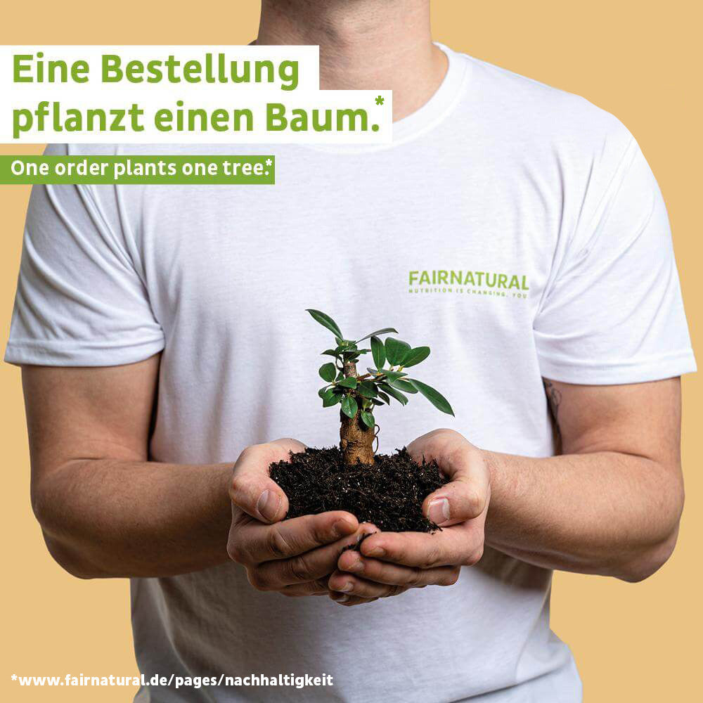 Βιολογική vegan πρωτεΐνη σε σκόνη βανίλιας χωρίς σόγια