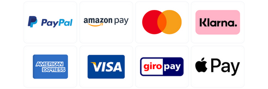 Bild mit Logos verschiedener Zahlungsmethoden: PayPal, Amazon Pay, Mastercard, Klarna, American Express, Visa, Giropay und Apple Pay. Jedes Logo befindet sich in einem separaten rechteckigen Feld, das in einem Rasterformat angeordnet ist.
