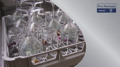 Sun Professional Realer Water για Hartwasser, Saurer Clear Canister (5 L)